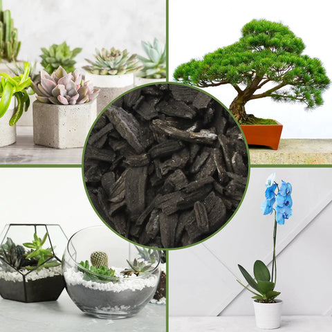 Hardwood Charcoal Soil Additive For Indoor Plants 2 Quarts Perfect For Orchids Terrariums And Gardens Boosts Drainage