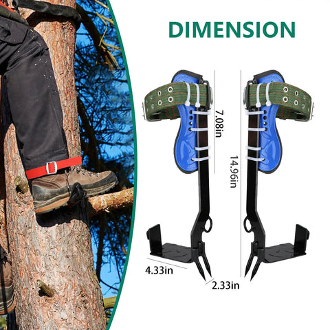 Tree Climbing Spike Set With Foot Straps And Ankle Straps shown on tree with dimensions 4.33in x 2.33in and 14.96in height