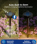 Auto dusk to dawn feature of Two Watt Solar LED Pathway Light For Outdoor Walkways And Gardens 120 Lumen Lit Ambient Glow