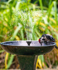 Woodpecker drinking from bird bath powered by Seven Point Five Watt Solar Water Pump For Ponds And Fountains with DIY Five Foot Tubing