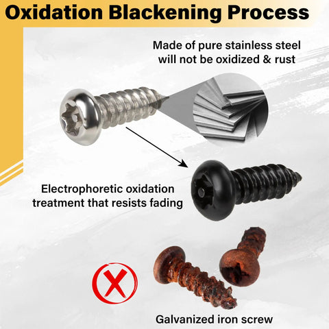 Pro Grade Anti Theft License Plate Screws Set With Rust Resistant Stainless Steel Bolts showing oxidation process and rust resistance.