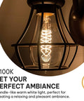 Vintage Edison Light Bulbs 60W 4 Pack ST58 Squirrel Filament Clear Glass E26 E27 Dimmable Warm White 2100K For Indoor And Outdoor Decor Old-School Glow With Retro Vibe lit in a hanging fixture