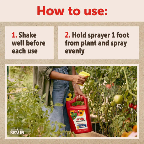 Person using Ready To Use Insect Killer One Gallon For Gardens And Vegetables on tomato plants, kills 700+ pests on contact.