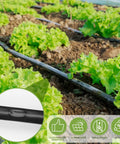 Drip Irrigation Tubing Kit With 1000 Ft Drip Tape Five Eighth Inch Outer Diameter 8 Mil Thick Six Inch Spacing in garden setup