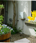 Garden path with flowers and shrubs near a house wall