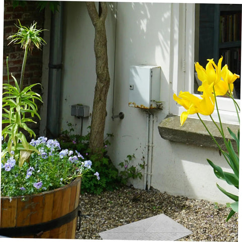 Garden path with flowers and shrubs near a house wall