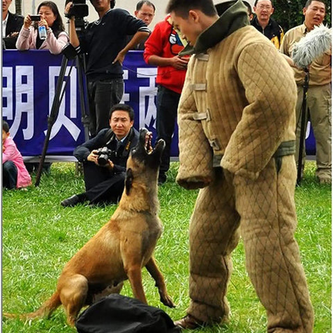 Trainer in Dog Training Bite Suit For Working Dogs Premium Anti Bite Jumpsuit with German Shepherd during bite training exercise.