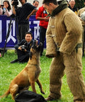 Trainer in Dog Training Bite Suit Safety Clothing with dog during agility session