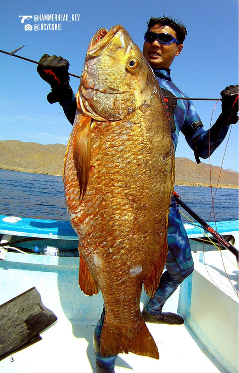 Diver holding large fish on boat; Evolution2 Reverse Trigger 65 Cm Speargun For Pro Hunters With Serious Accuracy not visible