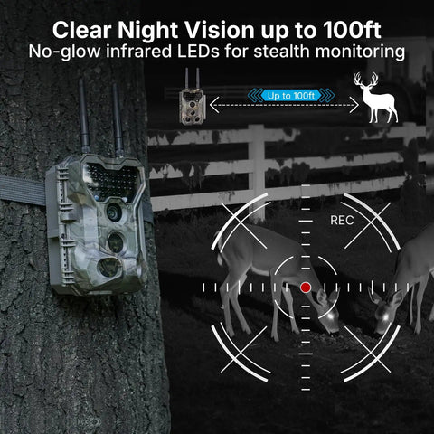 Slick Non Cellular Wifi Trail Camera With Dual Antenna And Beefy 7800 Mah Battery slung on tree capturing deer with night vision.