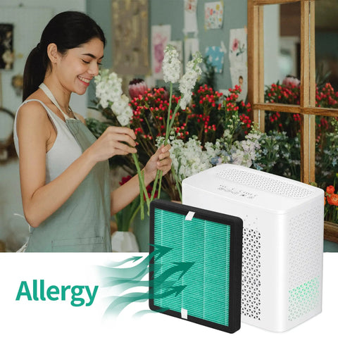 Woman arranging flowers next to 4 Pack Replacement Filter Set For YIOU Purifier R1 P1802 And Elechomes P1801, 3 In 1 True HP Filter.