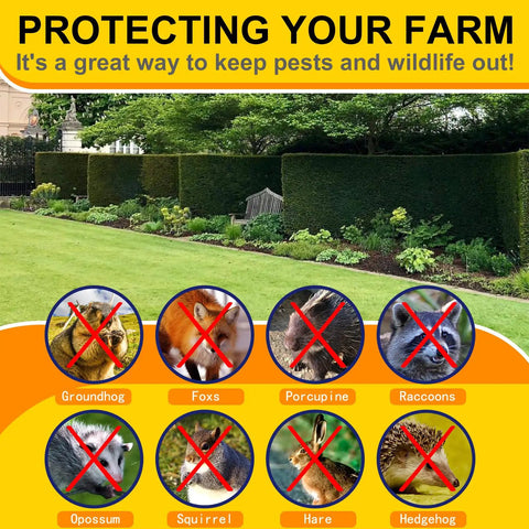 Heavy Duty 17 Gauge Black Vinyl Coated Hardware Cloth 1x48x100Ft protecting a garden from wildlife like groundhogs and raccoons.