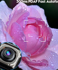 Close-up of pink rose with 300ms PDAF fast autofocus overlay and inset photo of 12MP Auto Focus USB Camera Module For PC And Laptop With 4K 30fps And 1080P 60fps UVC USB Two Point Zero Webcam Board Great For Streaming And Vid Calls Industrial Machine Vision IMX362 Sensor PDAF