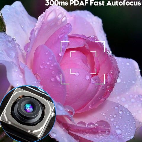 Close-up of pink rose with 300ms PDAF fast autofocus overlay and inset photo of 12MP Auto Focus USB Camera Module For PC And Laptop With 4K 30fps And 1080P 60fps UVC USB Two Point Zero Webcam Board Great For Streaming And Vid Calls Industrial Machine Vision IMX362 Sensor PDAF