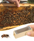Beekeeping Tool 5 Pack Wooden Cage Queen Cage Beehive Accessory Set With Ventilated Mesh Design for safe bee handling and hive management