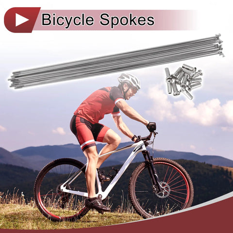 Cyclist near bicycle spokes and nipples 12 Pack 14G Bicycle Spokes 265mm 304 Stainless Steel Silver Tone With Copper Nipples