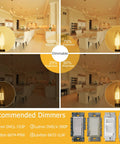 Dimmable Candelabra LED Bulb 2700K Warm White, E12 Base in various brightness levels with recommended dimmer switches.