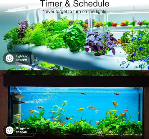 Zigbee Smart Power Strip Surge Protector With Fast Charging And Four Independently Switched Outlets Syncs With Alexa Google Home Philips Hue Black Slick Hub Powered Gear For Hassle Free Setup with plants and aquarium.