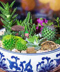 Bowl with succulents and Miniature Fairy Garden Furniture Set Of 10 Resin Tables And Chairs For Terrariums And Dollhouses Rustic Wood Grain Look With Realistic Painted Details Totally Adorable For Succulents Moss And Landscape Garden Decor