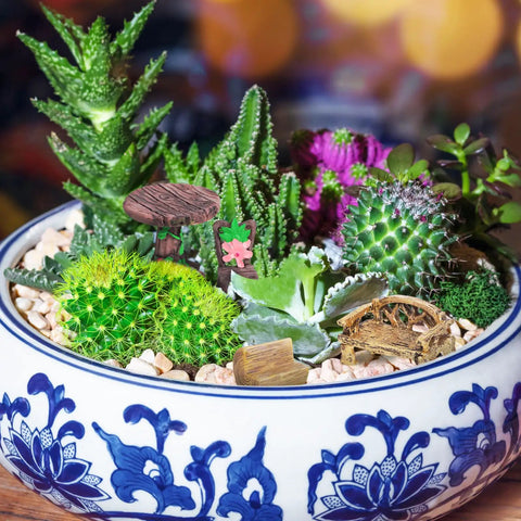 Bowl with succulents and Miniature Fairy Garden Furniture Set Of 10 Resin Tables And Chairs For Terrariums And Dollhouses Rustic Wood Grain Look With Realistic Painted Details Totally Adorable For Succulents Moss And Landscape Garden Decor