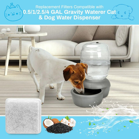 Dog drinking from 0.5 1 2.5 4 gal gravity waterer with 6 Pack Charcoal Replacement Filters For Cat Fountain And Dog Dispenser