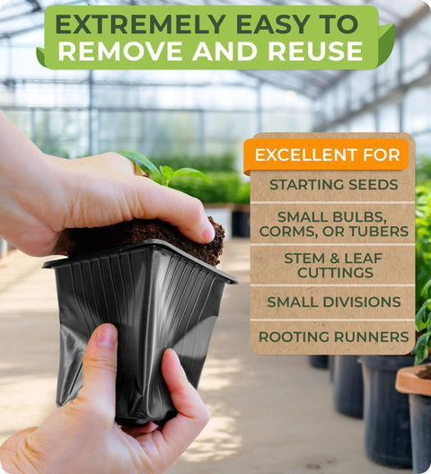 Person holding a square nursery pot for seedlings, showing soil and plant, with text on seed starting uses in greenhouse setting.
