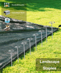 Pack Of 50 Landscape Staples With Pick Hook 6 Inch Galvanized Garden Pins For Weed Fabric Lawn Tent Yard And Sod Flexible Steel Stakes in use on grass