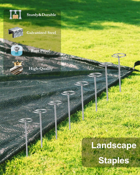 Pack Of 50 Landscape Staples With Pick Hook 6 Inch Galvanized Garden Pins For Weed Fabric Lawn Tent Yard And Sod Flexible Steel Stakes in use on grass