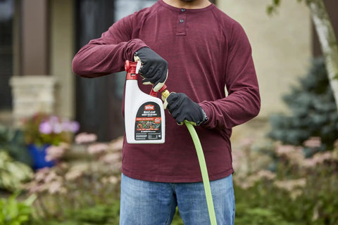 Person using BugClear Insect Killer For Lawns And Landscapes Ready To Spray Kills 235 Bugs In Minutes Rids Your Yard Of Pesky Mosquitoes Ticks Ants Spiders Fleas Cicadas And More 32 Oz 2 Pack in garden