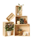 Vintage Rustic Wood Crates Set Of Five Nesting Storage Boxes With Open Handles arranged with decorative plants