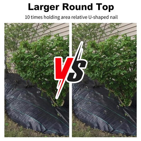 Heavy Duty Six Inch 8 Gauge Galvanized Landscape Staples For Lawn And Garden securing weed barrier fabric around plants.