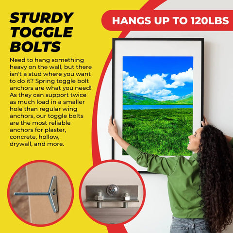 Heavy Duty Toggle Bolt Anchor Kit For Drywall Includes 1/8 X 2 In, 3/16 X 3 In, And 1/4 X 3 In Toggle Bolts for hanging a framed picture