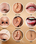 Pro Grade Piercing Tool Kit With Tapers Ball Grabber And Guides For 14G 16G 18G 20G Piercings shown on ear, nose, lip, navel