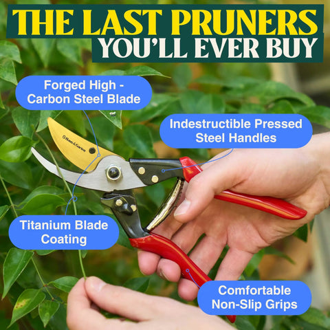 Hands using Pro Grade 8.75 Inch Titanium Bypass Pruning Shears For Gardening to cut plant, showing red handles and titanium blade.
