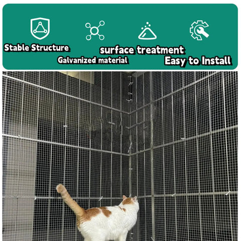 Built Tough Galvanized Hardware Cloth Mesh Roll For Chicken Coops And Backyard Critter Shields Rabbit Snake Gopher Shield Wire Screen Yard Ready Setup 16 By 20 Foot 19 Gauge Quarter Inch with cat inspecting the structure.