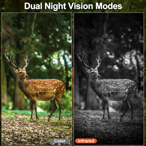 Wireless Cellular PTZ Security Camera For Outdoor Monitoring With Solar Charging And Straight Up 4G Signal serving dual night vision modes with color and infrared views.