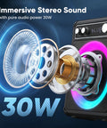 All In One Karaoke System With Two Wireless Microphones Portable Bluetooth Speaker details showing 30W stereo components