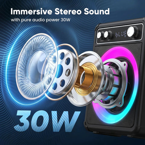 All In One Karaoke System With Two Wireless Microphones Portable Bluetooth Speaker details showing 30W stereo components