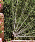 Pro Rotary Sprinkler With PRS Pressure Regulation, High-Efficiency Rotor, Hand Adjustable 45 To 270 Degree Pattern, 13 To 18 Foot Spray, 4 Inch Pop-Up, Water-Saving Design Delivers Constant 30 Psi spraying water on grass and flowers.