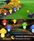 Warm White Mini Solar Mushroom Lights for outdoor garden pathway showing automatic daytime charging and night lighting