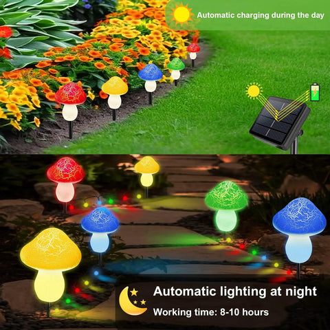 Warm White Mini Solar Mushroom Lights for outdoor garden pathway showing automatic daytime charging and night lighting