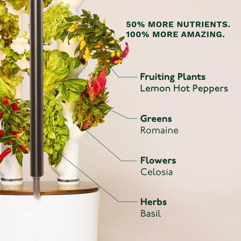 Vertical Hydroponics Garden System For Indoor Growing With Grow Lights Compact Smart Tower showing fruiting plants, greens, flowers, herbs