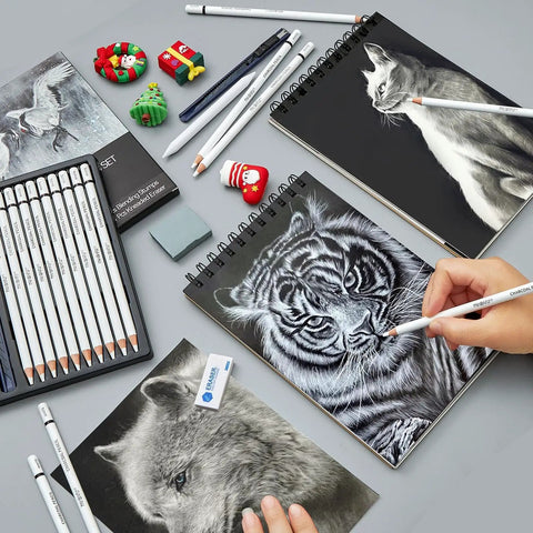 14 Piece White Charcoal Pencil Set For Drawing And Sketching, Pro Grade White Chalk Pencils With Art Knife, Erasers, and Stumps
