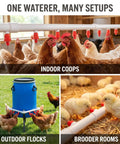 Heavy Duty Automatic Poultry Watering Nipples With Screw Style Mounting For Chickens Ducks Geese in various setups for easy drinking.