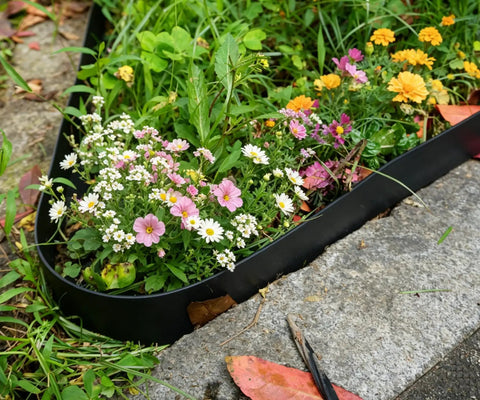 60 Foot Plastic Landscape Edging No Dig Black Lawn Border With 72 Stakes creating a clean edge between flower bed and concrete