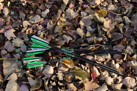 Carbon Crossbow Bolts 20 Inch Arrows Set, 12 Pack With 6 Broadheads on autumn leaves