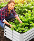 Galvanized Raised Garden Bed Kit 4 By 2 By 1 Foot Big Ol Bottomless Metal Planter Box outdoors with plants growing