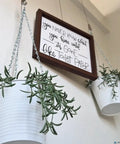 Close-up of hanging plants with a framed quote about toilet paper, using Picture Rail Hanging Kit With Six White Rail Hooks And A 72 Inch Invisible Cord