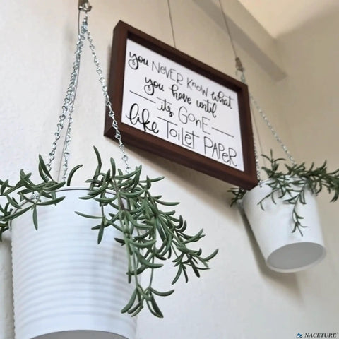 Close-up of hanging plants with a framed quote about toilet paper, using Picture Rail Hanging Kit With Six White Rail Hooks And A 72 Inch Invisible Cord