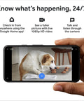 Smartphone displaying live 1080p HDR video of a dog via Wired Second Gen Security Camera With 1080p HDR Night Vision, Smart Motion Alerts.
